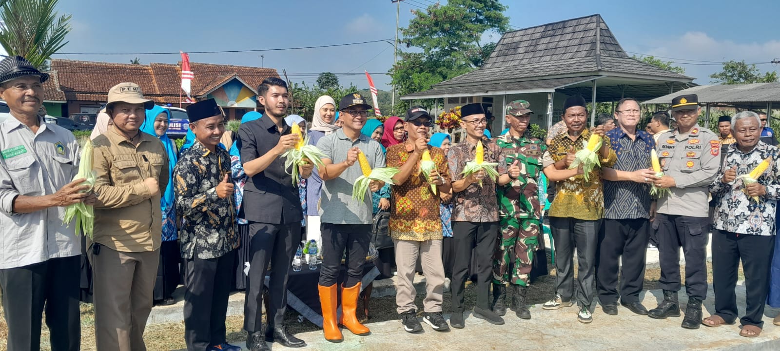 PANEN RAYA JAGUNG RAJAPOLAH