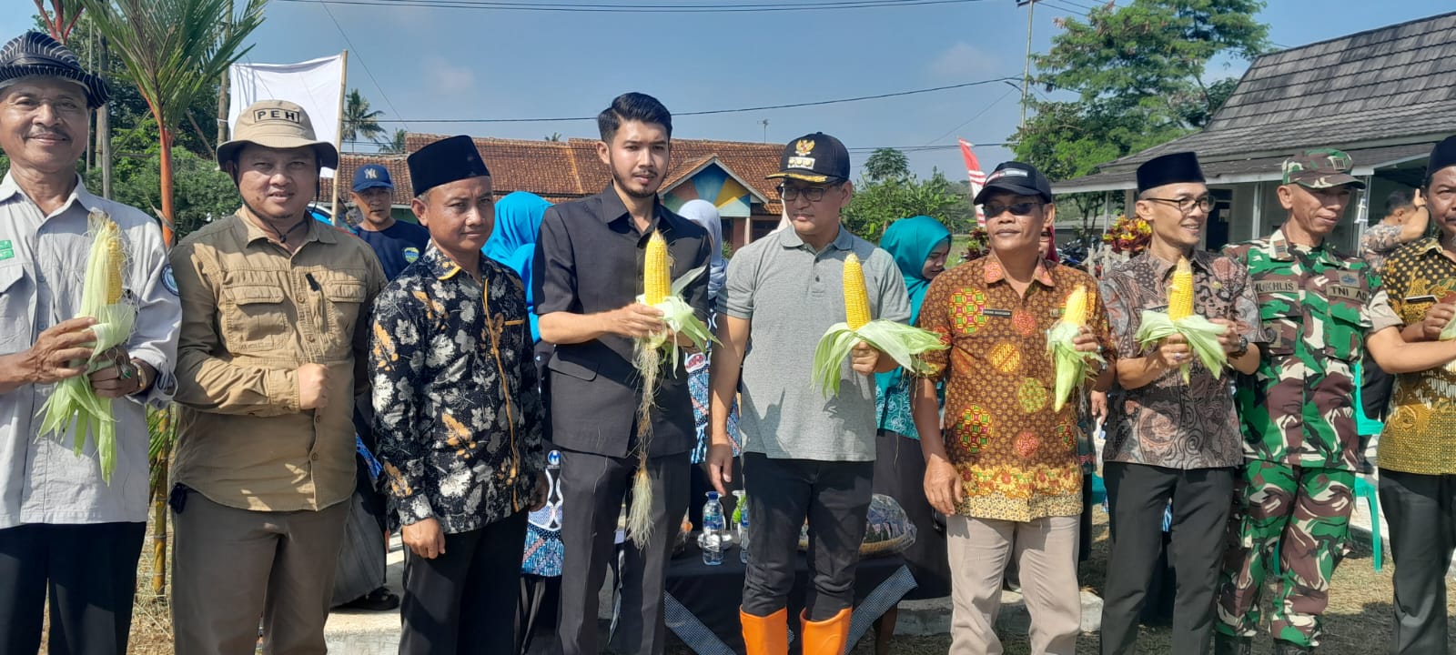 PANEN RAYA JAGUNG RAJAPOLAH
