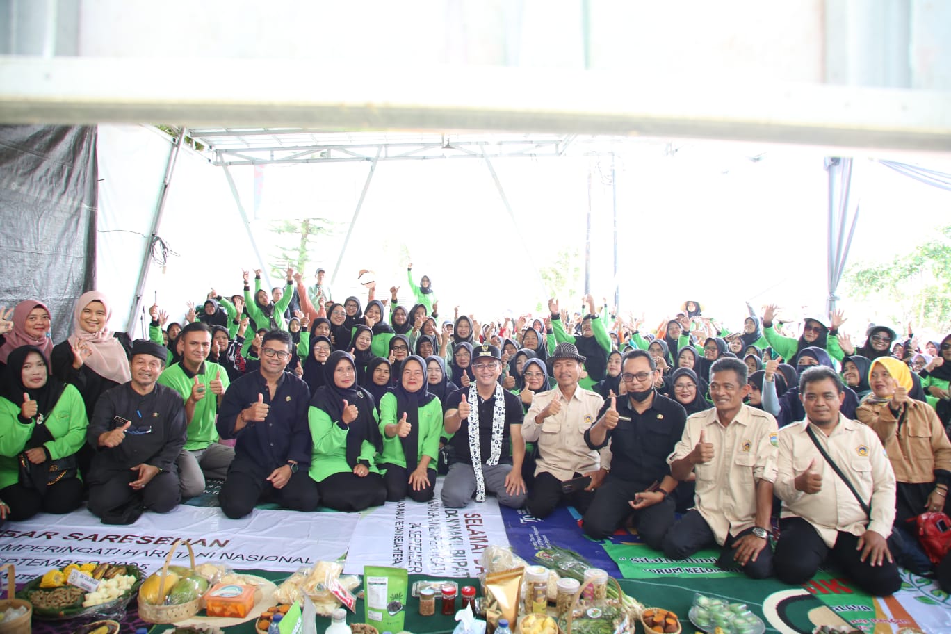 PENANAMAN CABAI SERENTAK