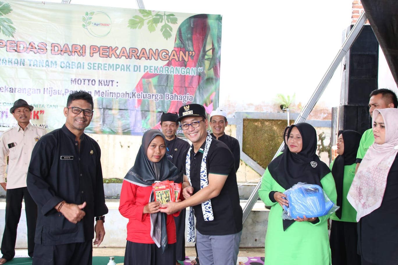 PENANAMAN CABAI SERENTAK