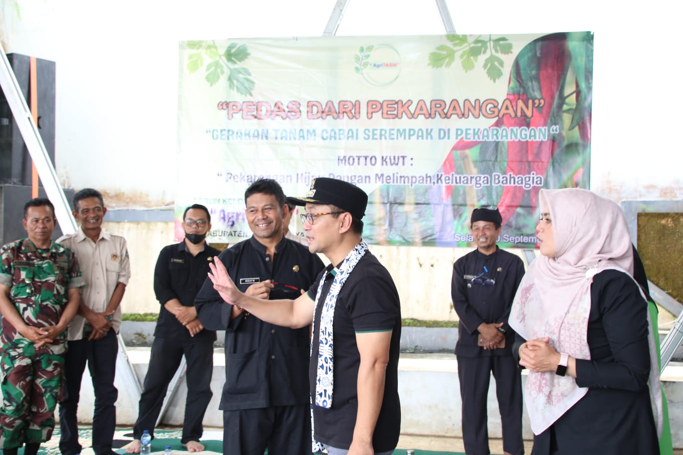 PENANAMAN CABAI SERENTAK