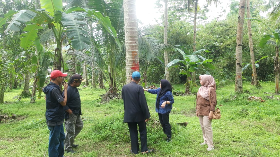 PIT KELAPA CIPATUJAH