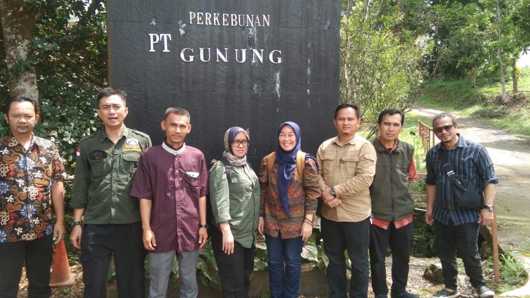 Penilaian Perkebunan