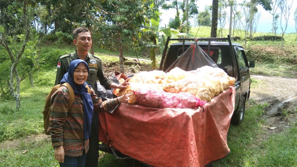 Penilaian Perkebunan