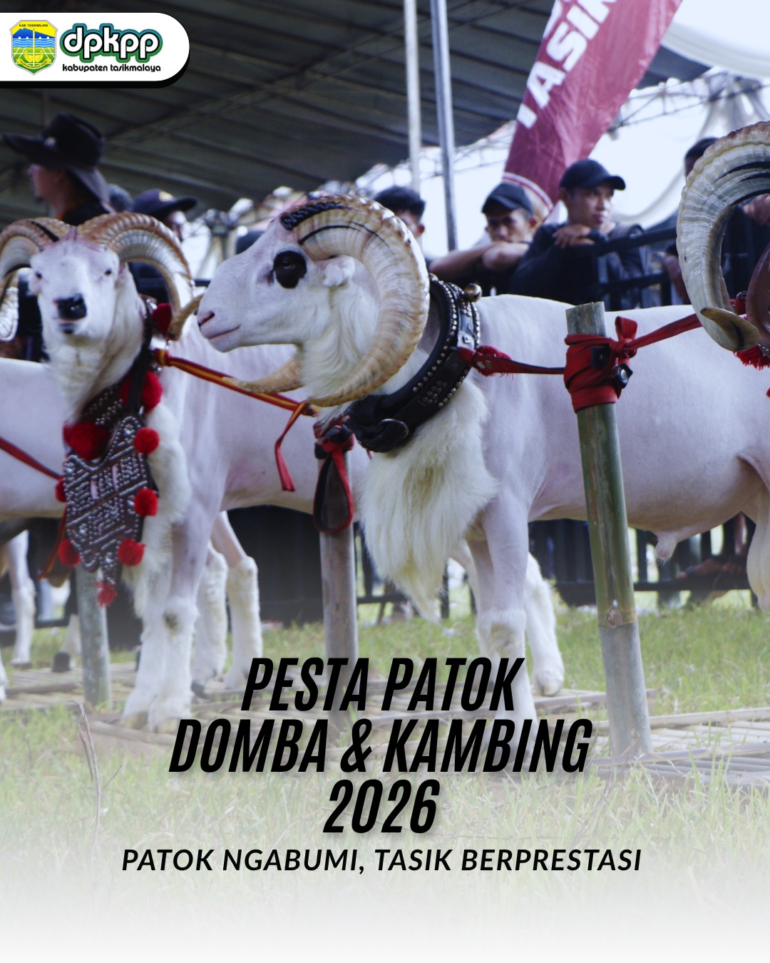 Foto Kegiatan